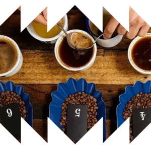 Cata Brasileña - Coma Coffee Roasters