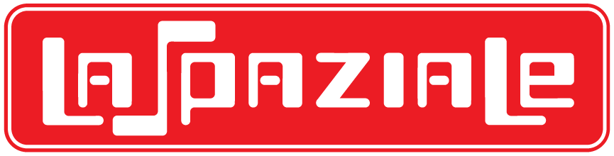 cropped Spaziale logo